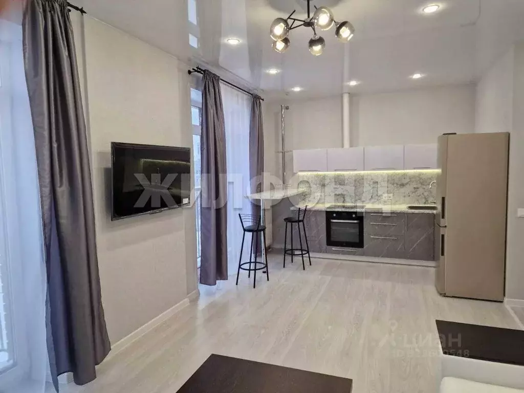 Студия Новосибирская область, Новосибирск ул. Шевченко, 19/1 (70.0 м) - Фото 1