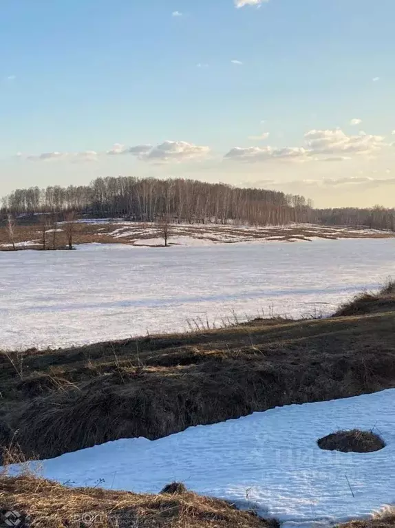 Участок в Новосибирская область, Мошковский район, с. Сокур  (50.04 ... - Фото 1