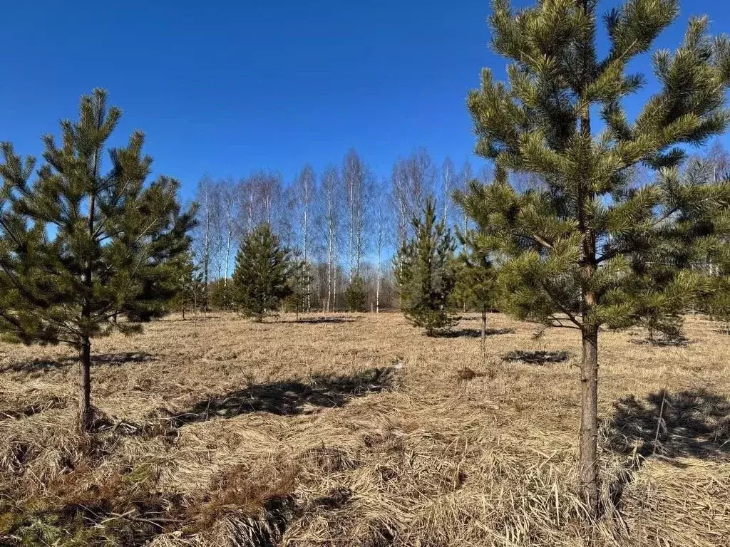 Участок в Вологодская область, с. Куркино  (9.8 сот.) - Фото 0