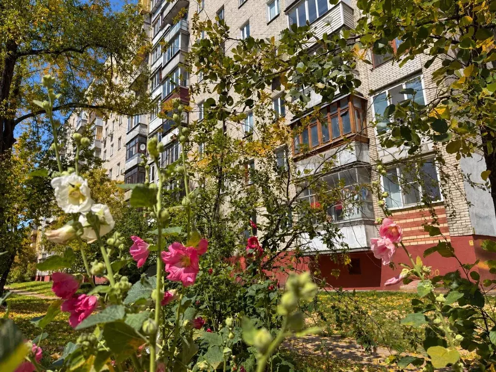 2-к кв. Московская область, Люберцы пос. Калинина, 38 (45.5 м) - Фото 2