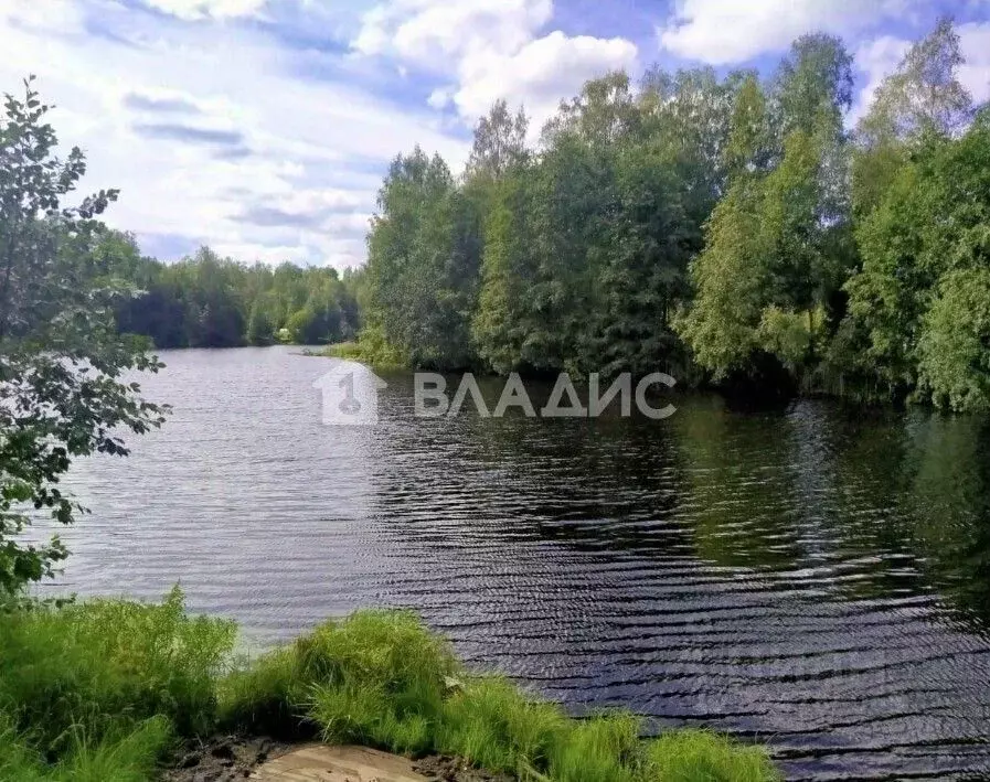 Участок в Ленинградская область, Всеволожский район, Куйвозовское ... - Фото 1