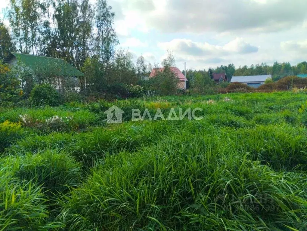 Участок в Ленинградская область, Всеволожский район, Рахьинское ... - Фото 0