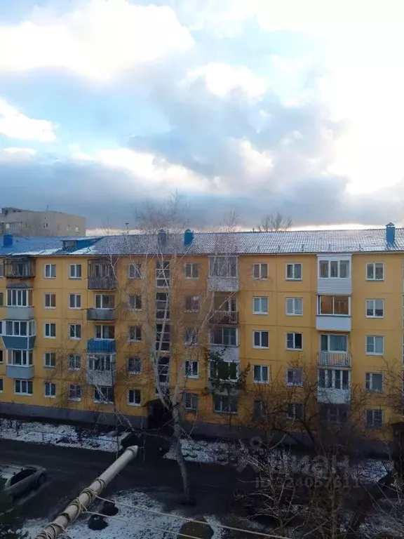 1-к кв. Омская область, Омск пос. Амурский, ул. Багратиона, 25Б (31.0 ... - Фото 1