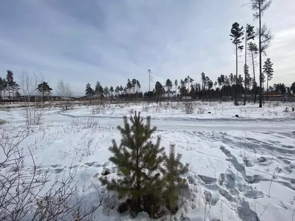 Участок в Забайкальский край, Читинский район, с. Смоленка  (13.5 ... - Фото 1