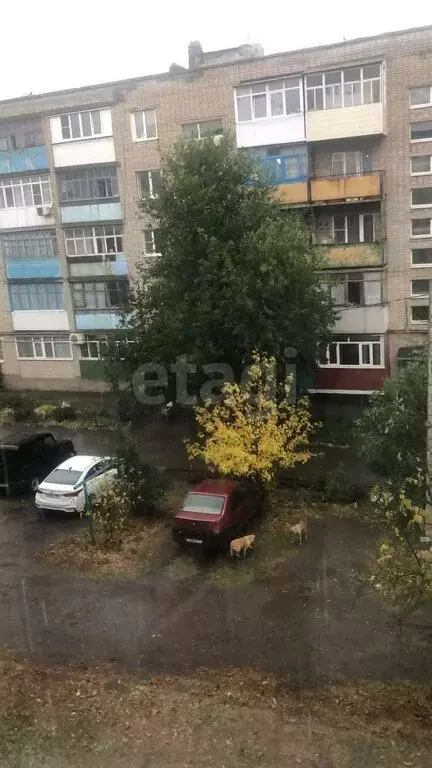 1-комнатная квартира: Красный Сулин, улица Мира, 15 (29.7 м) - Фото 1