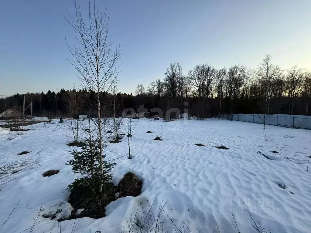 Участок в Московская область, Сергиево-Посадский городской округ, ... - Фото 2