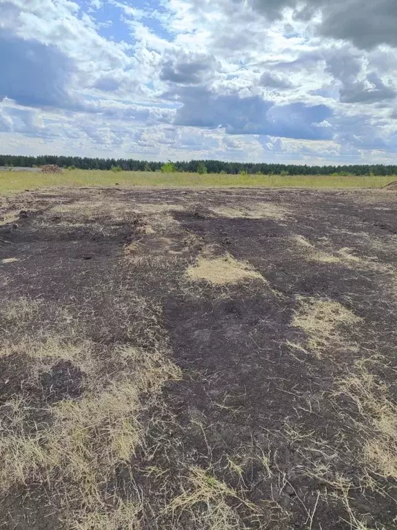 Участок в Саратовская область, Энгельсский район, Красноярское ... - Фото 0