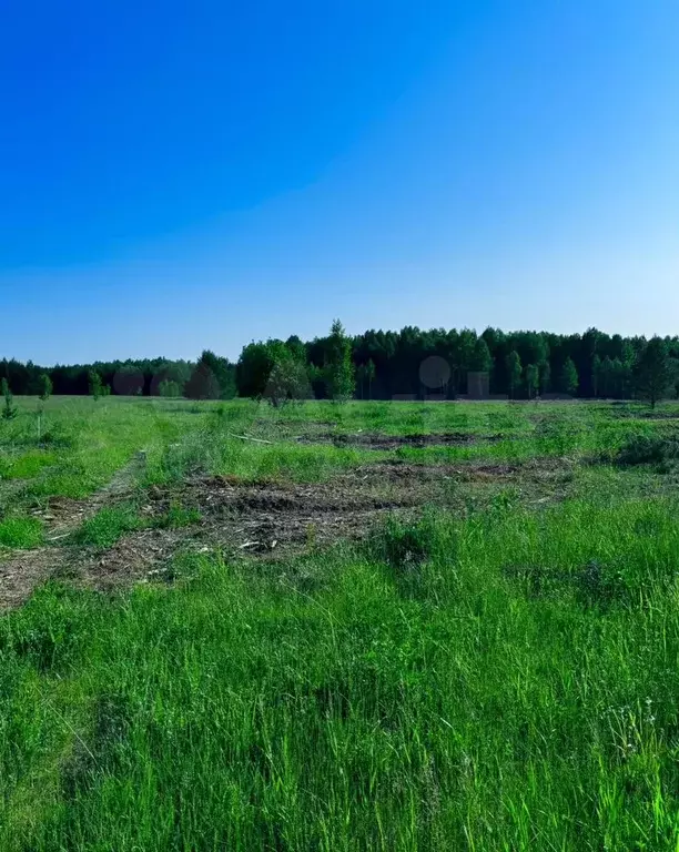 Участок 9 сот. (СНТ, ДНП) - Фото 0