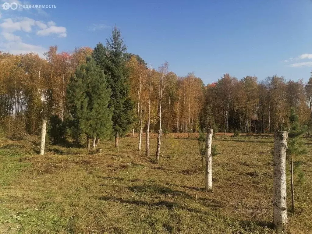 Участок в Томский район, село Коларово, улица Энтузиастов (10 м) - Фото 0