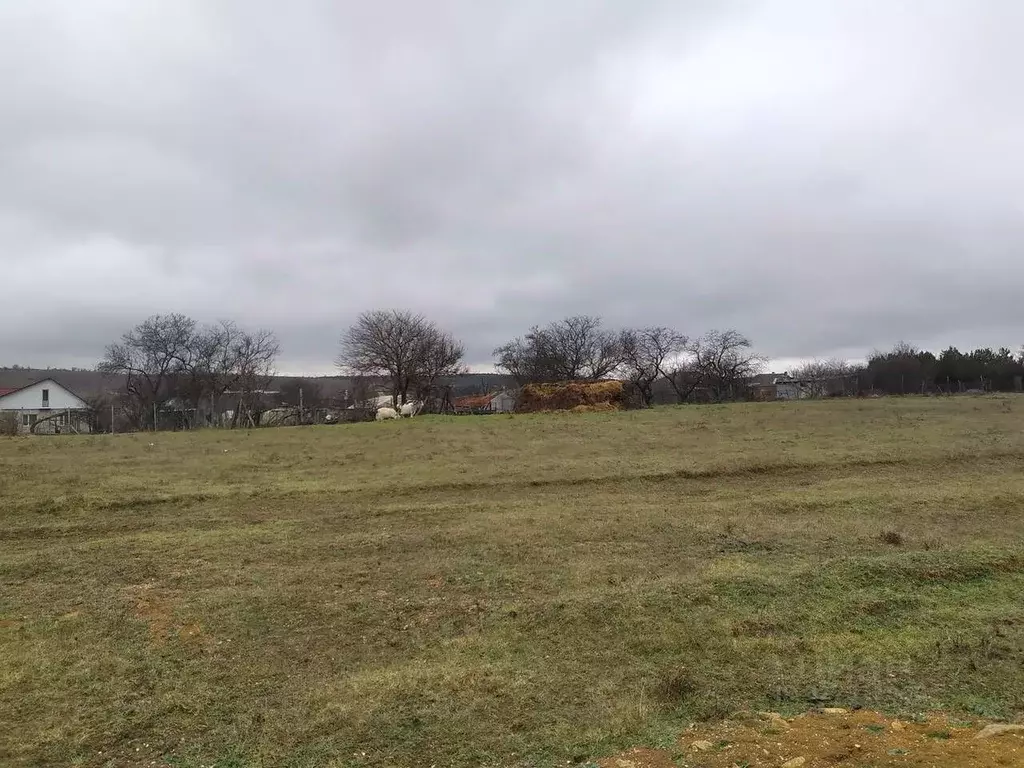 Участок в Крым, Симферопольский район, Николаевка пгт ул. Ленина (6.0 ... - Фото 1