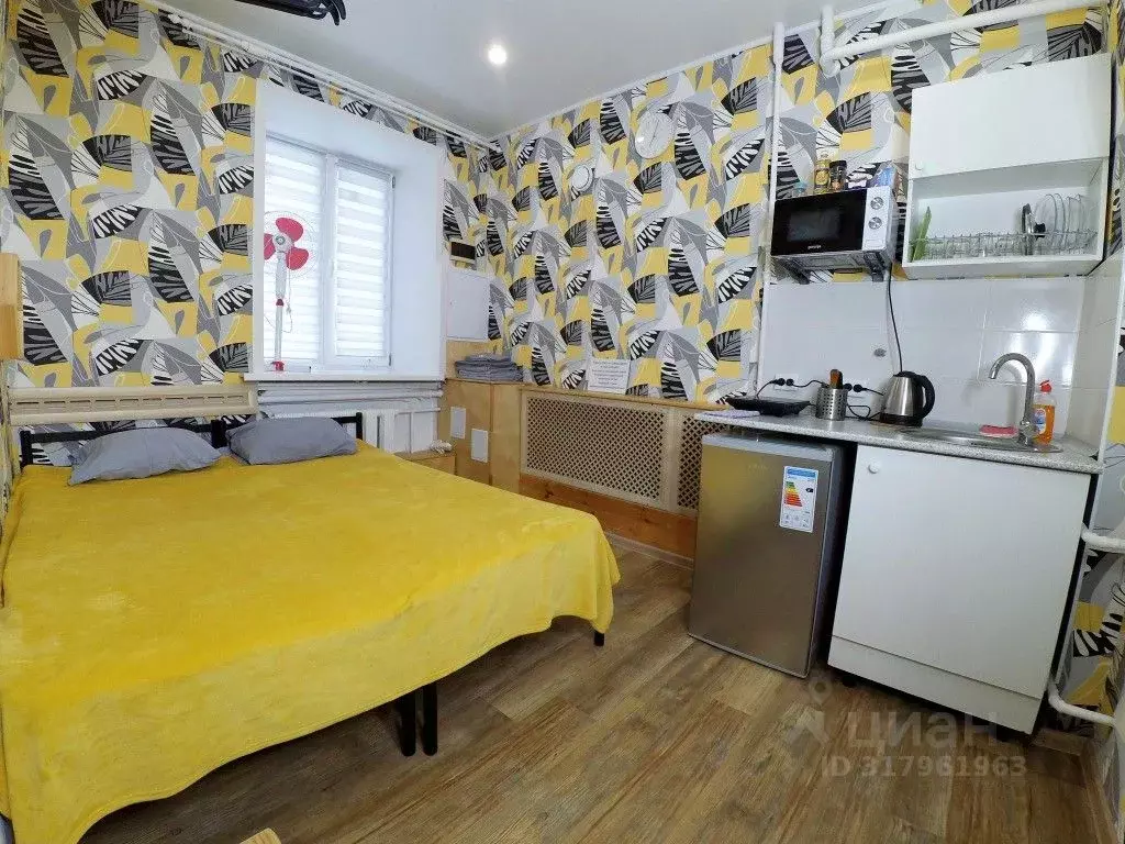 1-к кв. Татарстан, Казань Ипподромная ул., 29 (17.0 м) - Фото 1