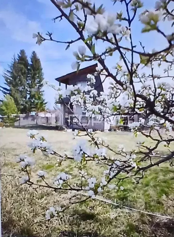 Дом в Хакасия, Черногорск Район Опытное Поле СНТ,  (35 м) - Фото 0