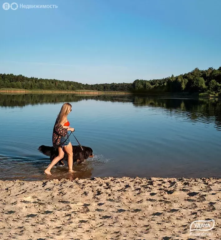 Участок в Московская область, городской округ Щёлково, КП Море (8.58 ... - Фото 1