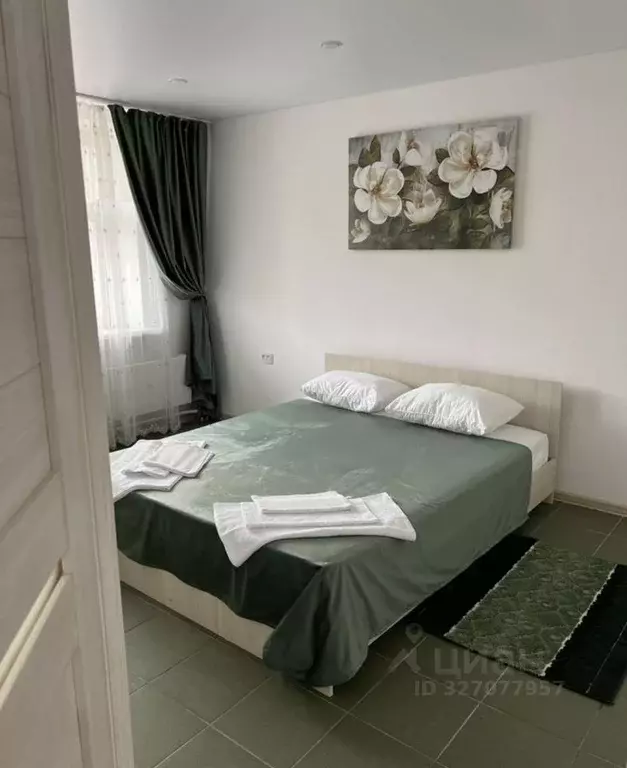 2-к кв. Нижегородская область, Нижний Новгород Мещерское Озеро ... - Фото 2