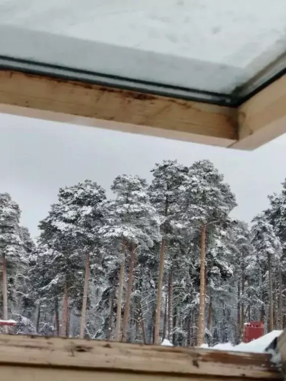 2-к кв. Пензенская область, Пенза Коннозаводская ул., 53 (48.9 м) - Фото 1