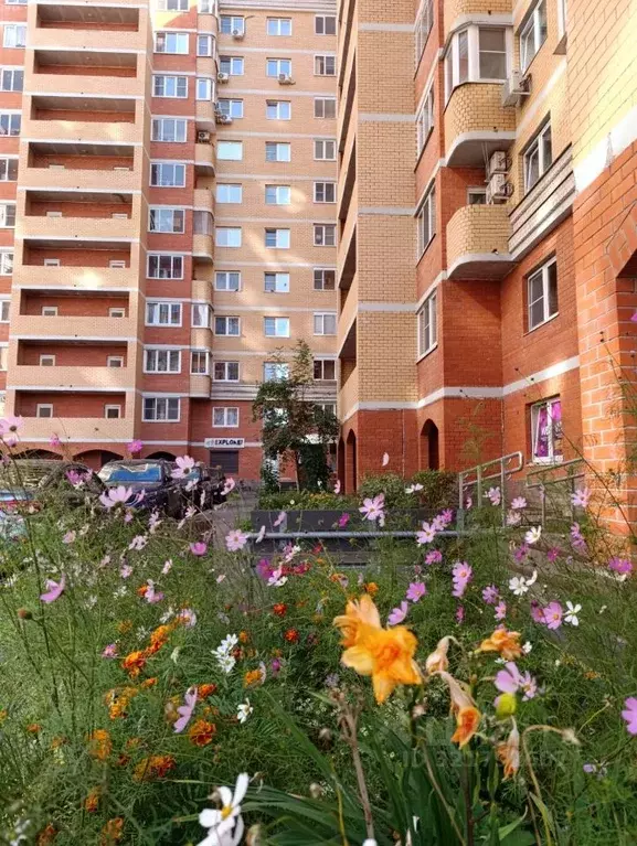 2-к кв. Московская область, Пушкино Новая Деревня мкр, Набережная ул., ... - Фото 0