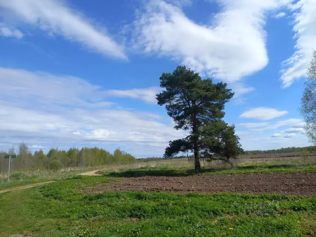 Участок в Псковская область, Псковский район, Тямшанская волость, д. ... - Фото 1