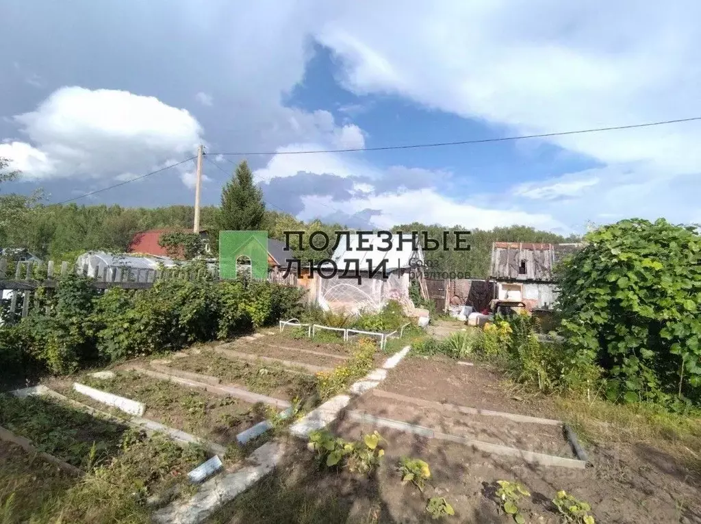 Участок в Татарстан, Зеленодольск Гари-Дальние СТ, ул. Титова (4.3 ... - Фото 2