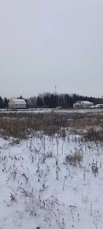 Участок в Новгородская область, Старорусский район, Наговское с/пос, ... - Фото 0