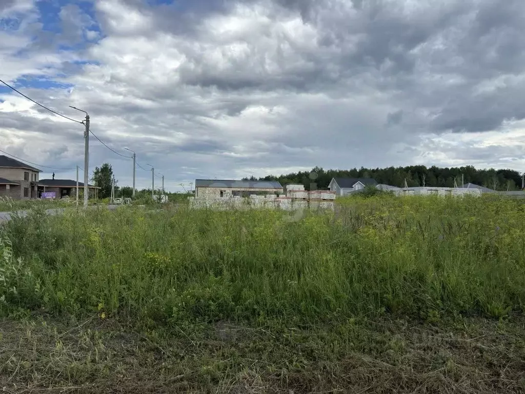 Участок в Тюменская область, Тюмень СОСН Березовое Озеро тер., ул. ... - Фото 0