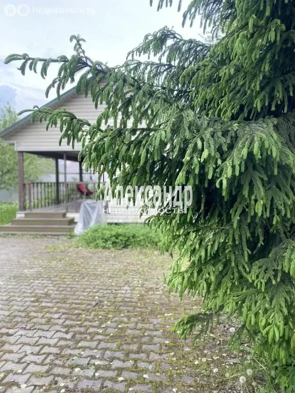 Дом в Сертолово, СНТ Ромашка, 17-я линия, 396 (141.6 м) - Фото 1