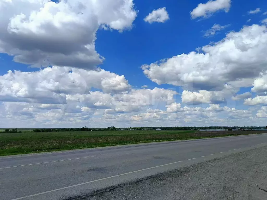 Участок 100 сот. (СНТ, ДНП) - Фото 0
