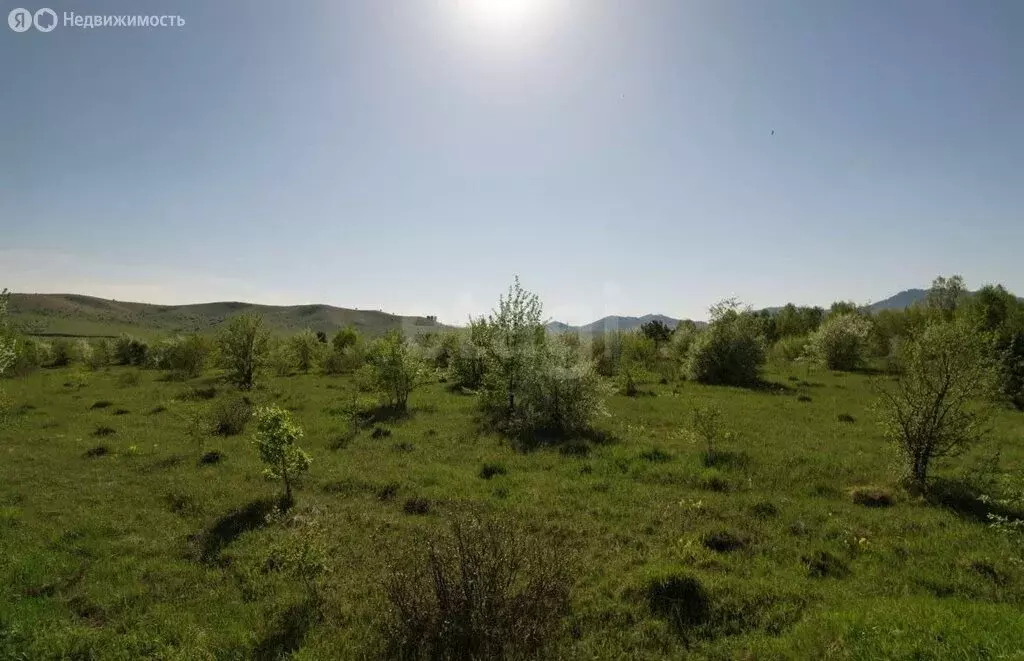 Участок в Алтайский район, СНТ Вершина Бабырган (10 м) - Фото 1