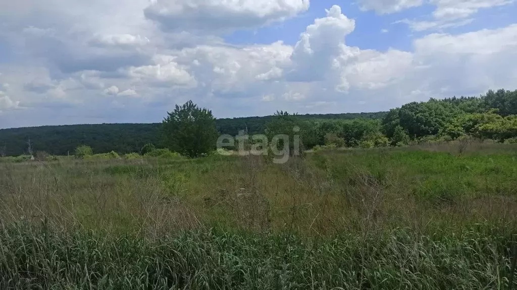 Участок в Белгородская область, Белгородский район, Беломестненское ... - Фото 1