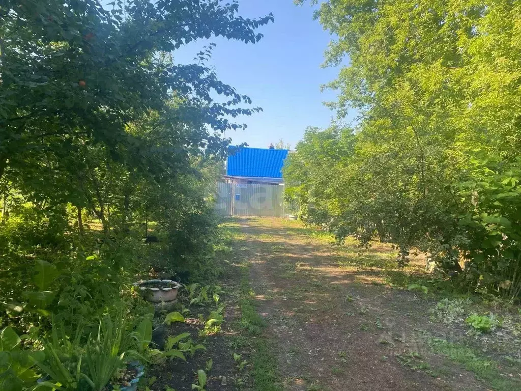 Дом в Воронежская область, Новоусманский район, пос. Трудовое Садовая ... - Фото 1