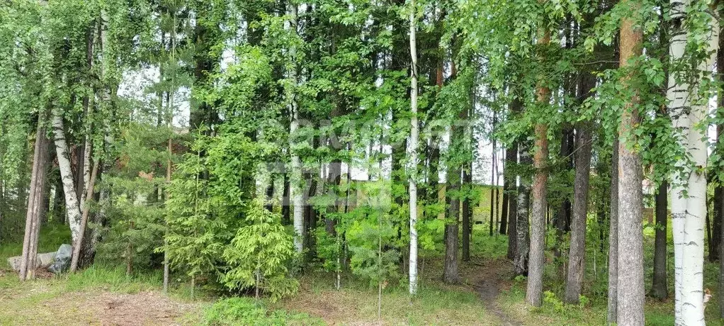 Участок в Коми, Сыктывкар городской округ, Краснозатонский пгт ул. ... - Фото 1