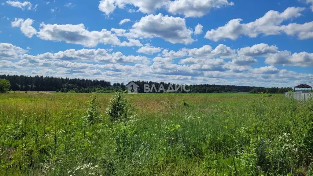 Участок в Пермский край, д. Касимово ул. Луговая, 21 (15.0 сот.) - Фото 1