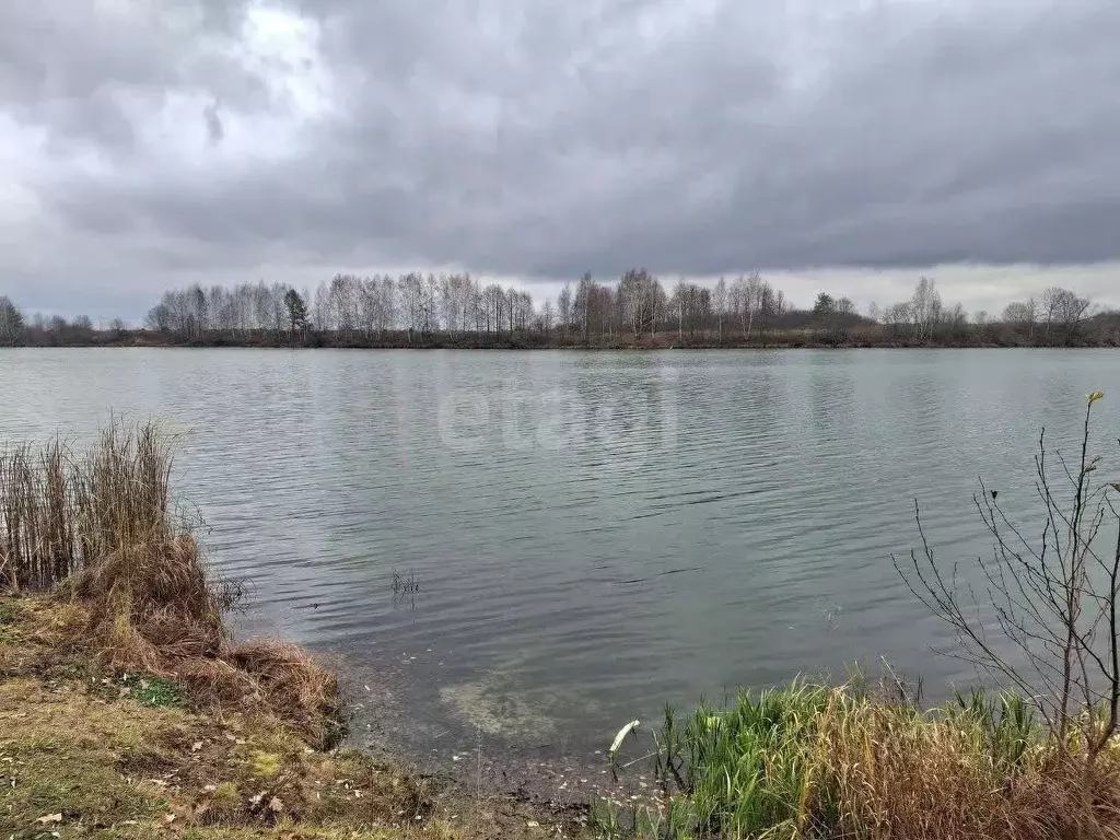 Дом в Владимирская область, Меленковский муниципальный округ, с. ... - Фото 1