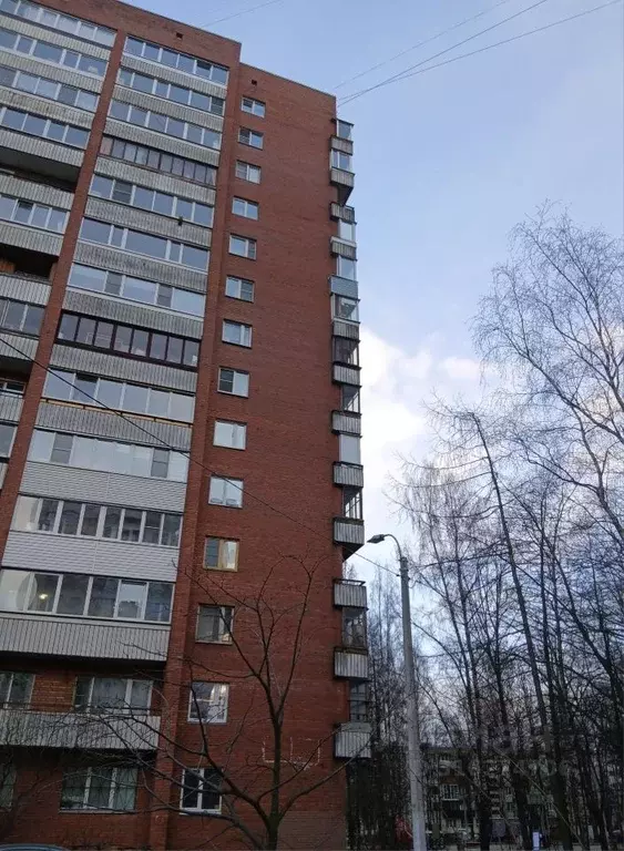 1-к кв. Санкт-Петербург Суздальский просп., 85 (33.0 м) - Фото 0