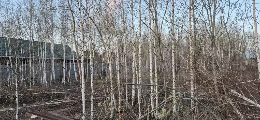 Участок 12 сот. (ИЖС) - Фото 1