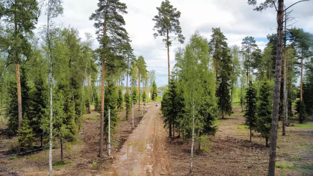 Участок в Московская область, Щелково городской округ, Снежная-4 тер. ... - Фото 1