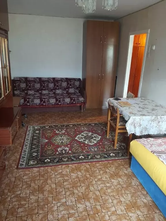 1-к кв. Саратовская область, Саратов Ипподромная ул., 11 (30.0 м) - Фото 1