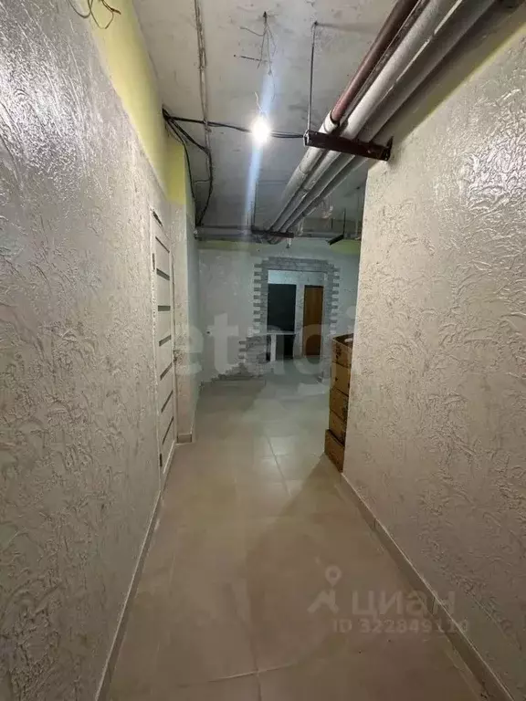 Помещение свободного назначения в Ставропольский край, Ставрополь ул. ... - Фото 1