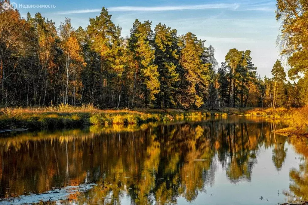 Дом в Рязань, район Давыдово, Лесная улица (140 м) - Фото 0