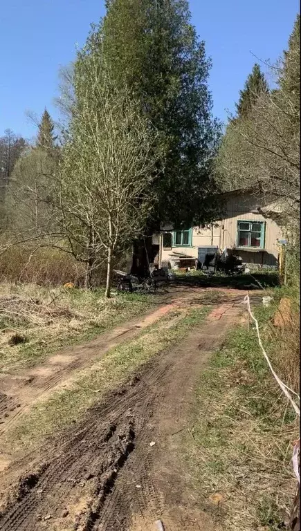 Участок в Санкт-Петербург, Санкт-Петербург, Зеленогорск Хвойная ул., ... - Фото 0