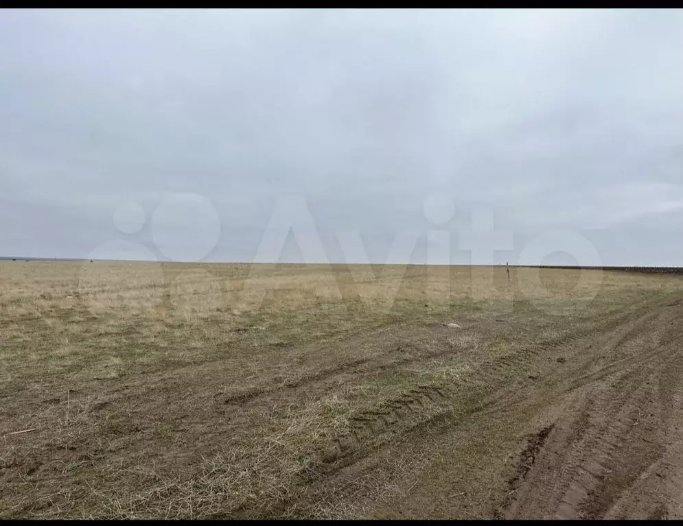 Участок 476 га (СНТ, ДНП) - Фото 1