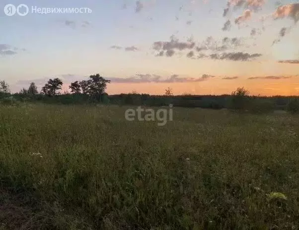 Участок в муниципальное образование Киров, деревня Боровые (18 м) - Фото 0