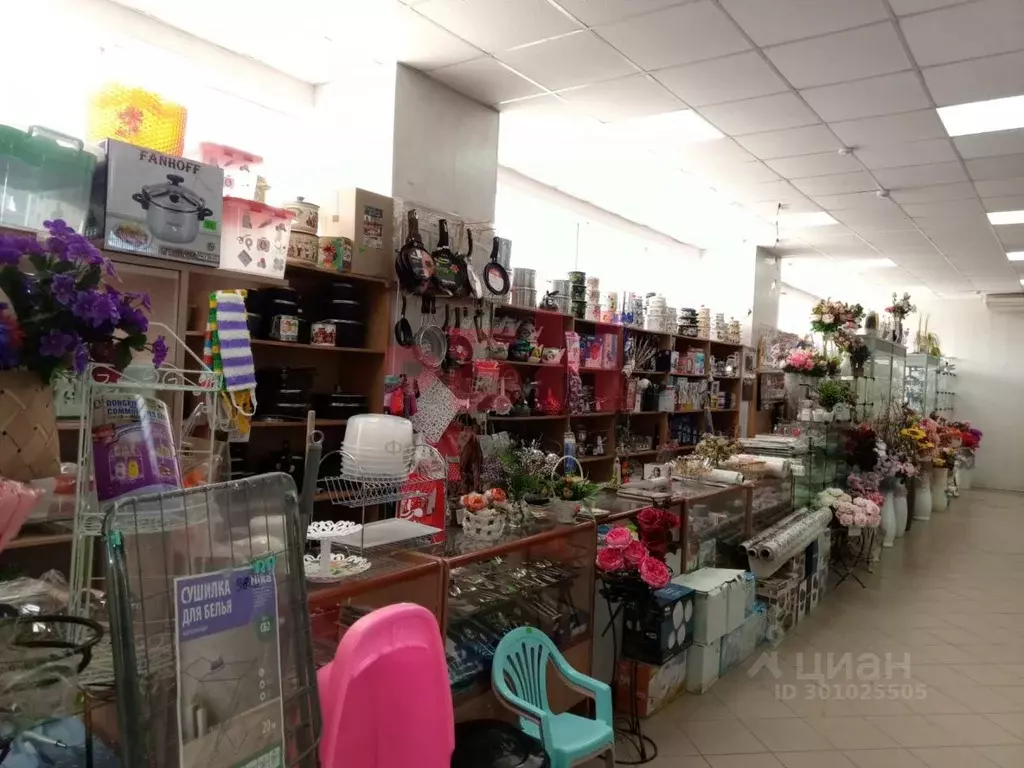 Торговая площадь в Пензенская область, Белинский Белинская ул. (36 м) - Фото 1