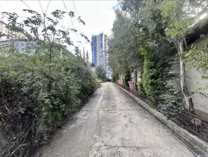 Участок в Краснодарский край, Сочи Новый Сочи мкр, ул. Санаторная ... - Фото 2