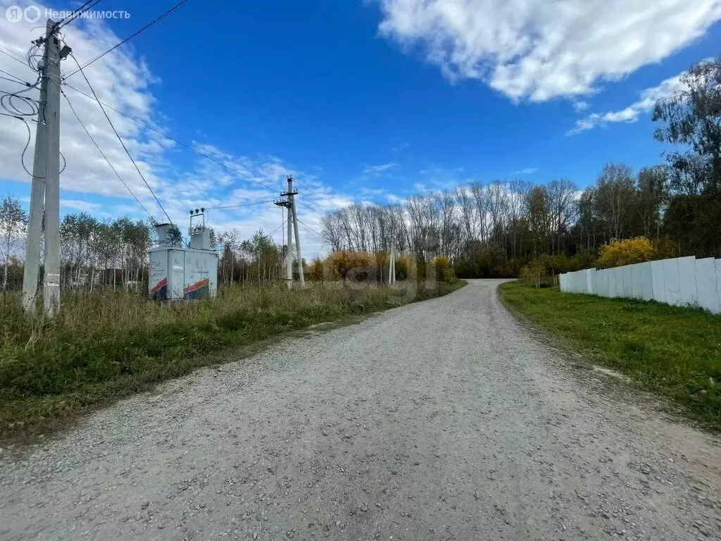 Участок в Тогучин, Лесная улица (15 м) - Фото 2