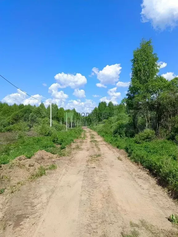 Участок 10 сот. (ИЖС) - Фото 0