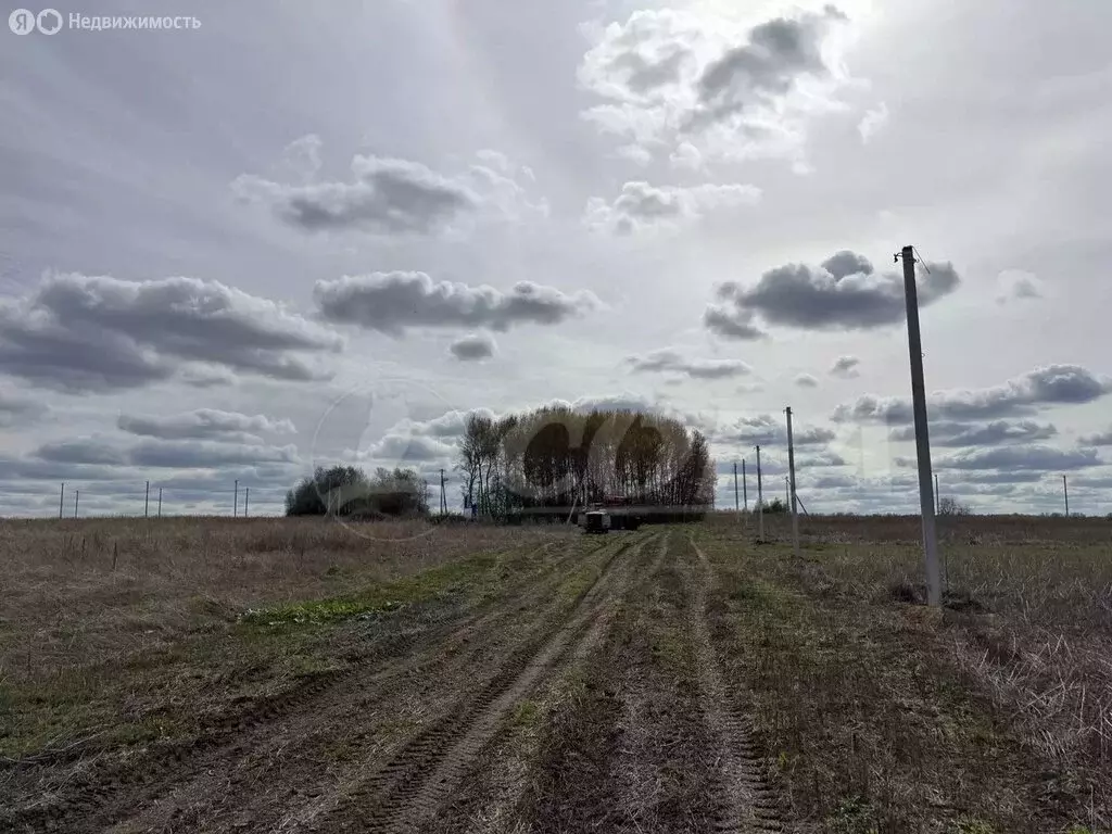 Участок в Червишевское муниципальное образование (8 м) - Фото 0