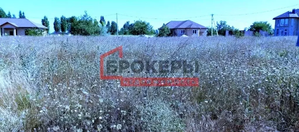 Участок в Крым, Сакский район, с. Фрунзе ул. Славянская, 14 (10.0 ... - Фото 2