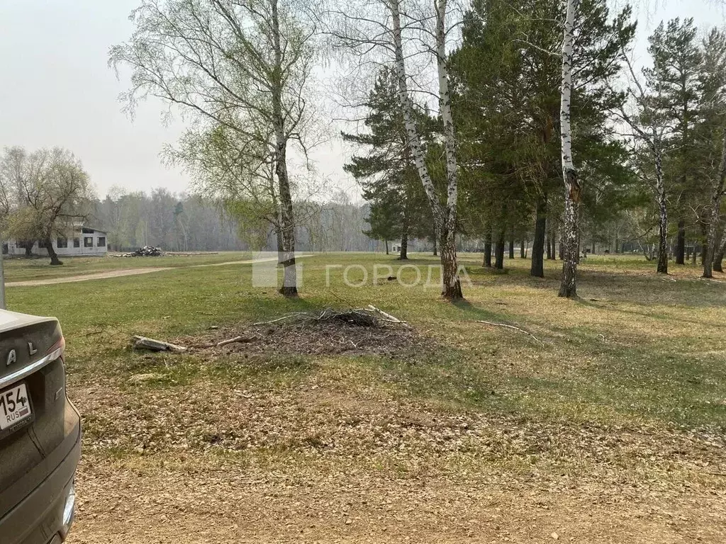 Участок в Новосибирская область, Ордынский район, с. Нижнекаменка  ... - Фото 1