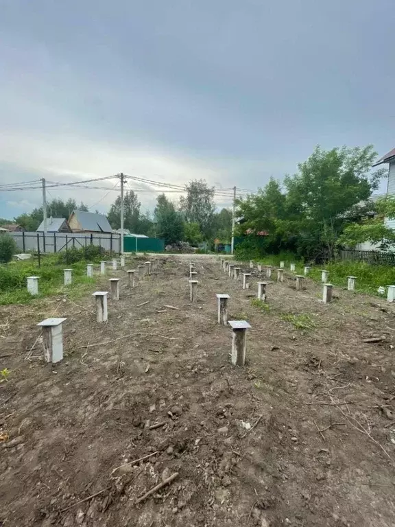 Участок в Новосибирская область, Новосибирск Радуга садовое ... - Фото 1