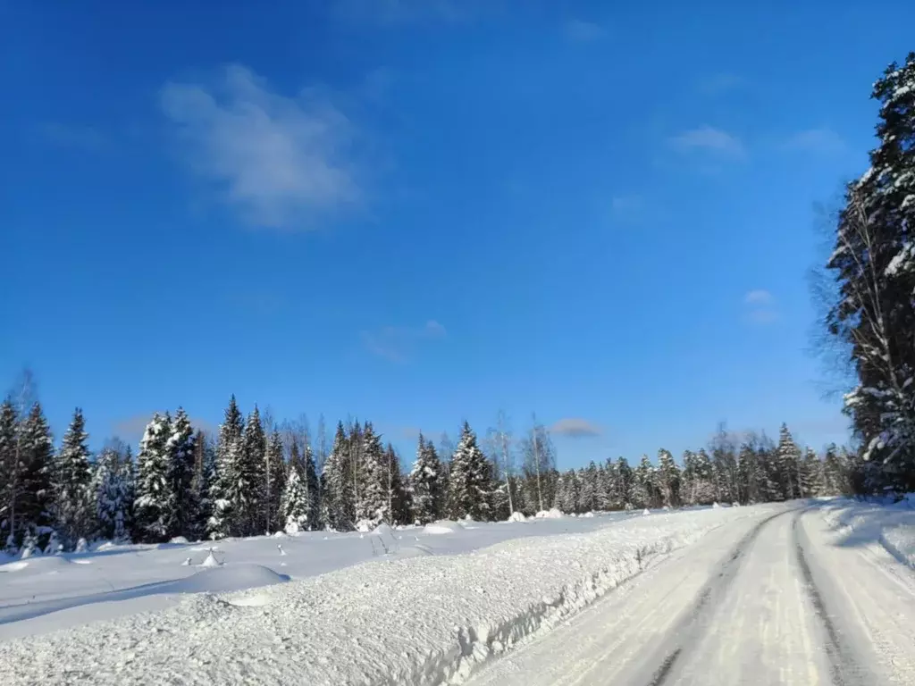Участок в Московская область, Шаховская муниципальный округ, Шаховская ... - Фото 2